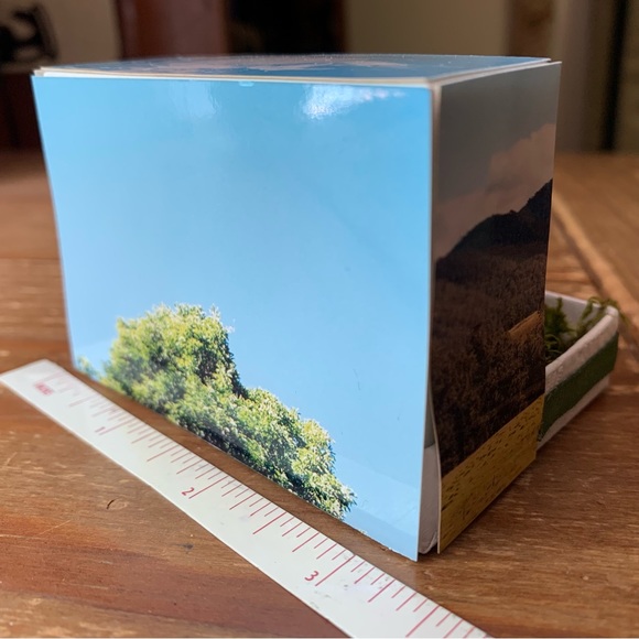 Whimsigoth Fairytale Dragon with Gold Treasure, DnD Miniature Bookshelf Diorama - Picture 4 of 4